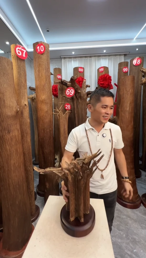 沉香摆件净****程沉香原料