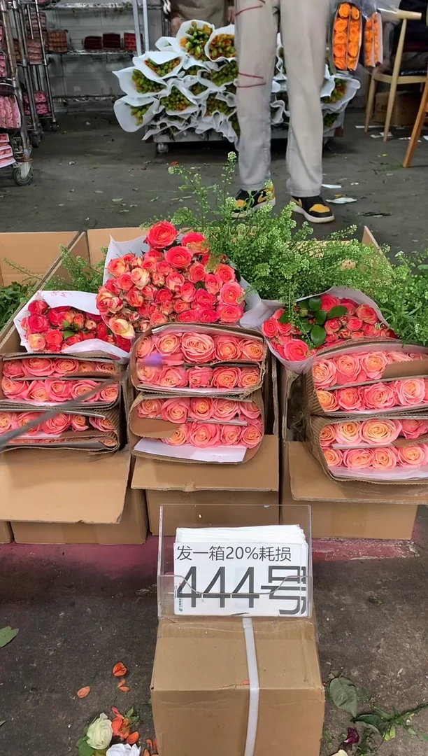 444号♥含20%耗损发一箱