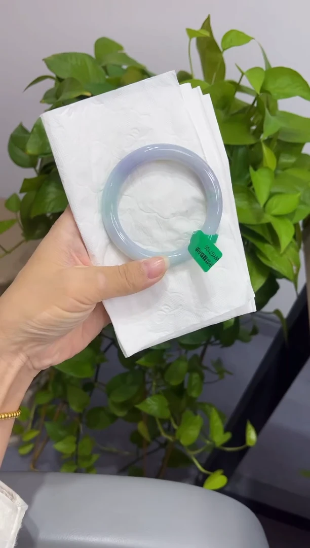 未镶嵌手镯翡翠0000014