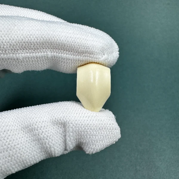 M1554天然猛犸牙玉龙6A三通 支持鉴定 假一罚四