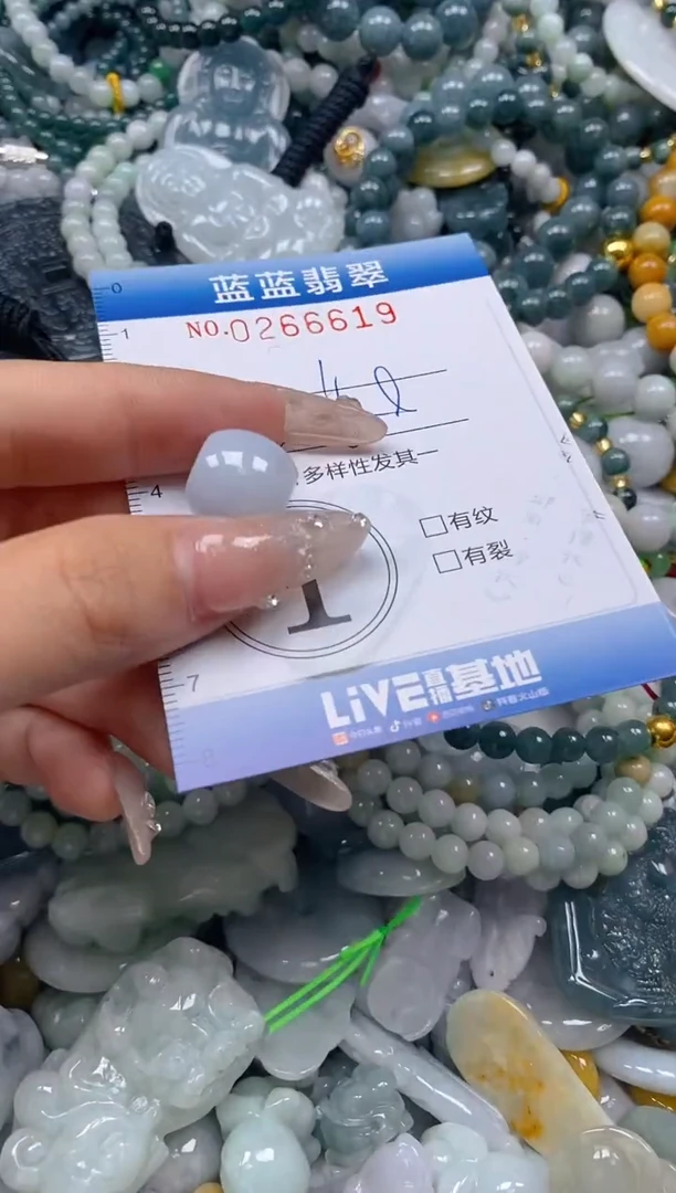 翡翠未镶嵌颈饰闪购0266619多样性发其一