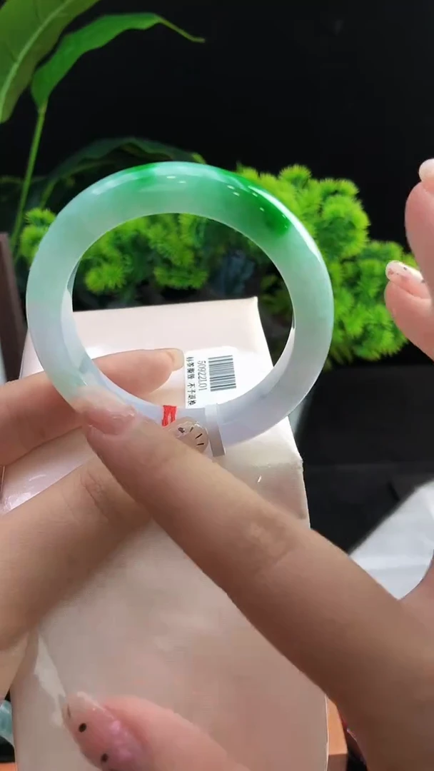 未镶嵌手镯翡翠三天鉴赏期