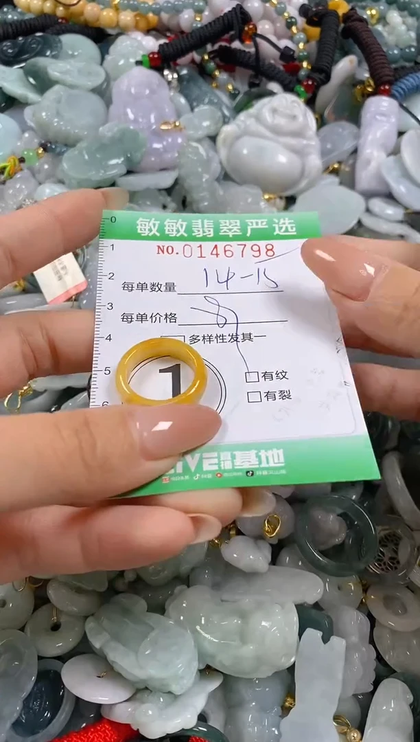 翡翠未镶嵌颈饰闪购0146798