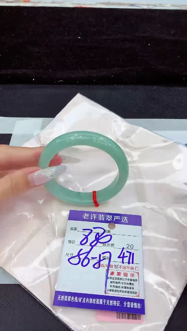 未镶嵌手镯翡翠1