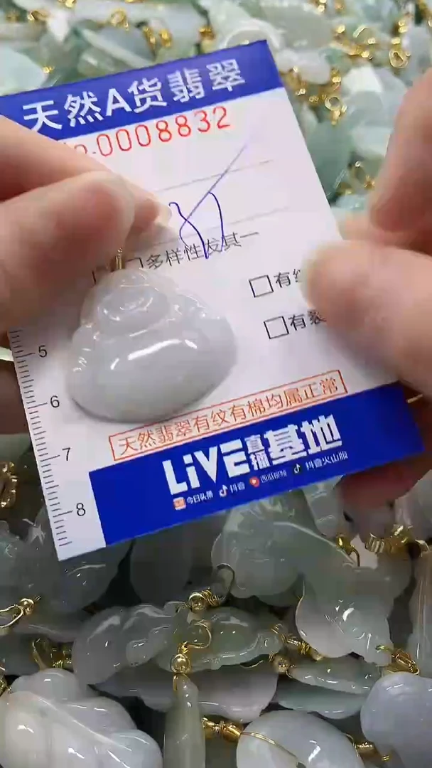 颈饰未镶嵌翡翠纯天然a货翡翠