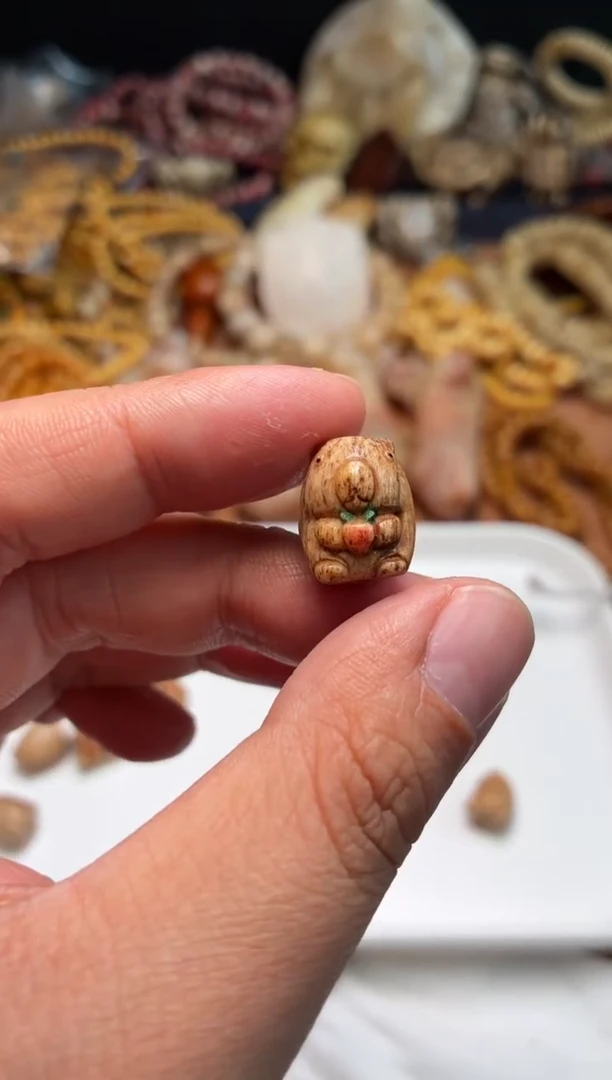 牛骨其他P173-卡皮巴拉-有棕裂