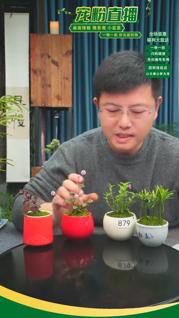 无花朵墨*苔藓微景观879号