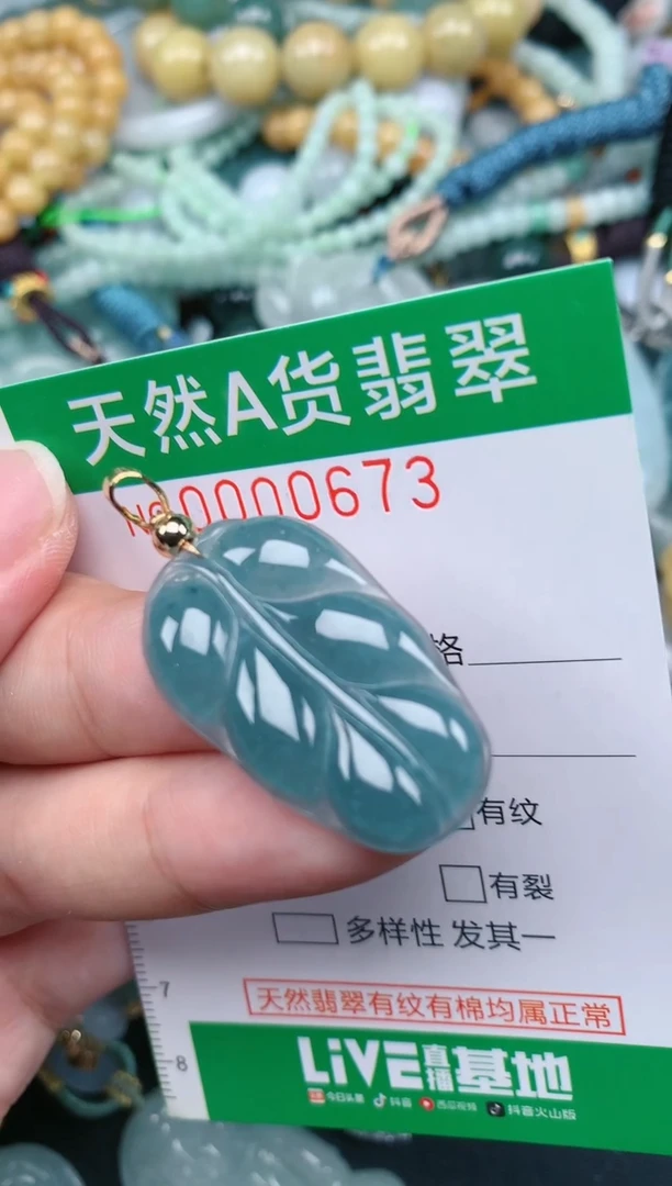 翡翠未镶嵌颈饰.0000673