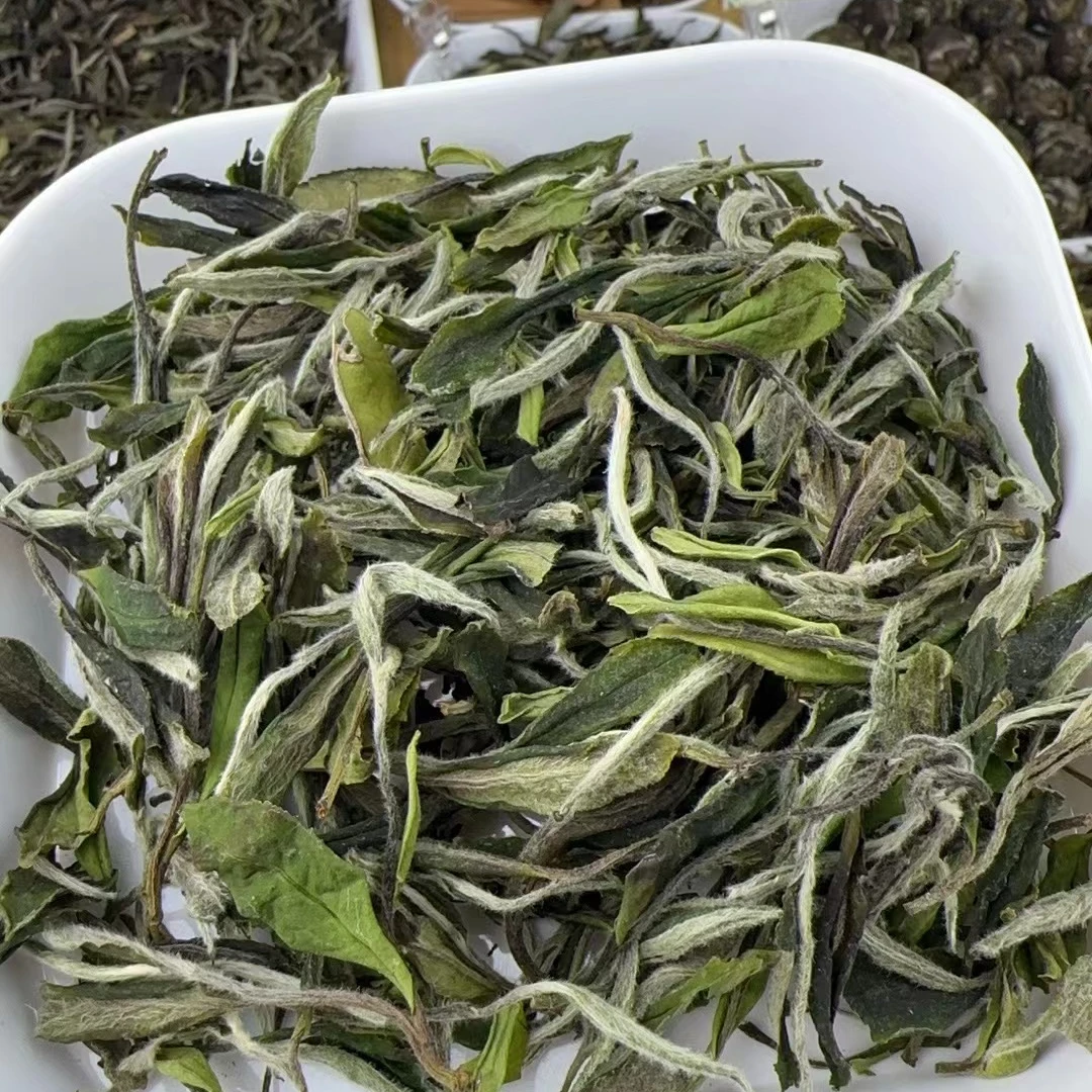 2025年福鼎白茶一级白牡丹毫香花香冰糖甜高山茶云雾茶散茶礼盒装
