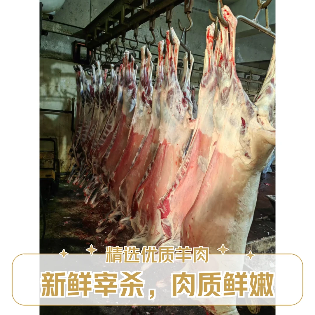 内蒙古羔羊整羊32斤，牧场散养整扇排腿精分割包邮，35%腿排