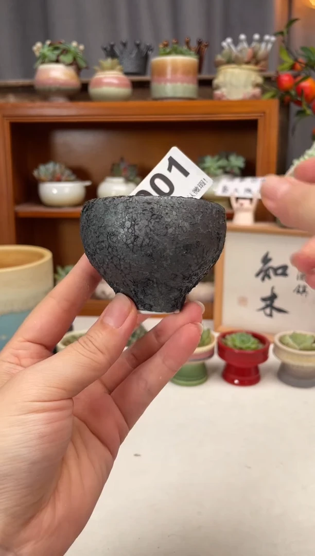 瓷片001知木小芳花盆