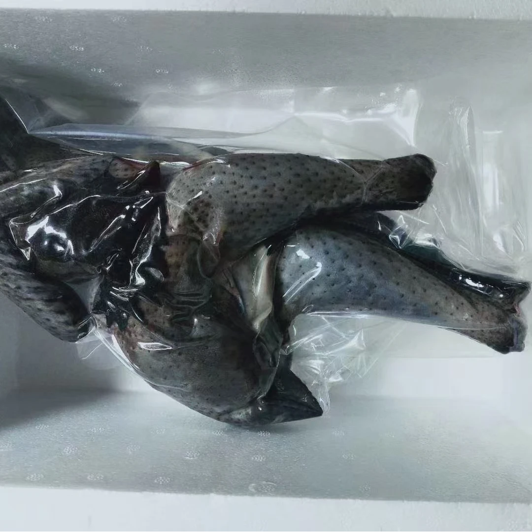 2号【鸡啊鸡】盐津乌鸡庄园散养自养土鸡