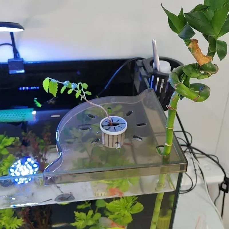 【承重耐用】鱼缸转角置物架免安装节省空间鱼缸托盘隔板摆件装饰