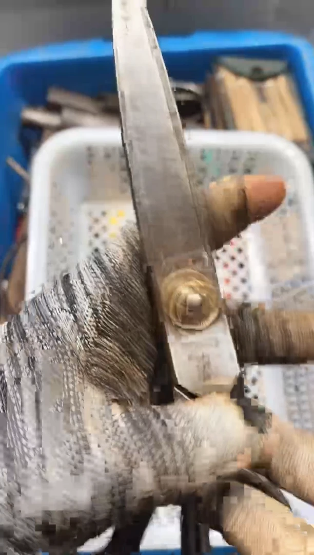 王*帅麻嘎子工具闪购链接一物一拍