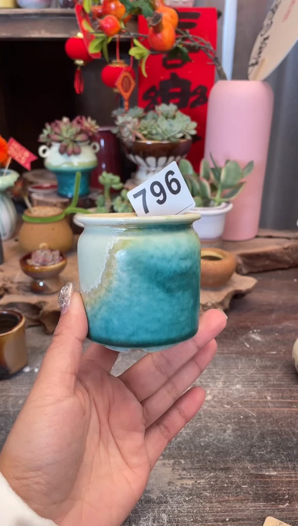 【闪购商品】摆件796知木小芳花盆