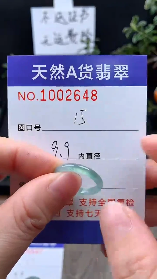 未镶嵌戒指翡翠15#