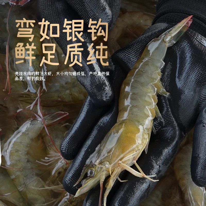 【秋季福利】渤海湾盐田虾 一斤称35-40条 鲜活速冻，顺丰包邮