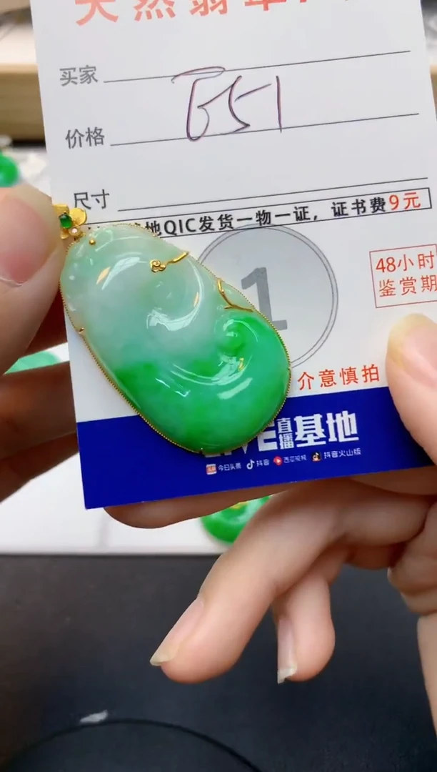 颈饰18K金镶嵌翡翠天然缅甸A货翡翠百元以上9元证书费自理