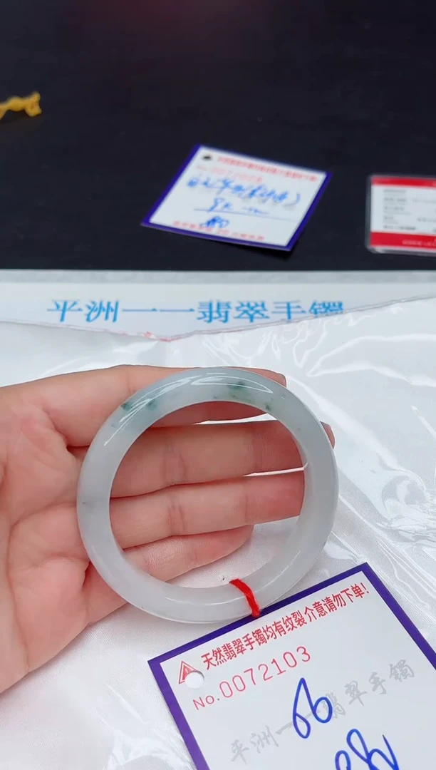 未镶嵌手镯翡翠1111111