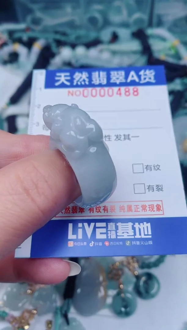 颈饰未镶嵌翡翠00000488