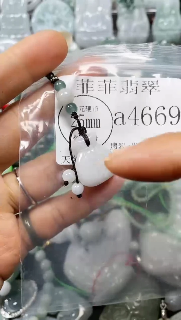 【闪购商品】翡翠颈饰未镶嵌闪购4669