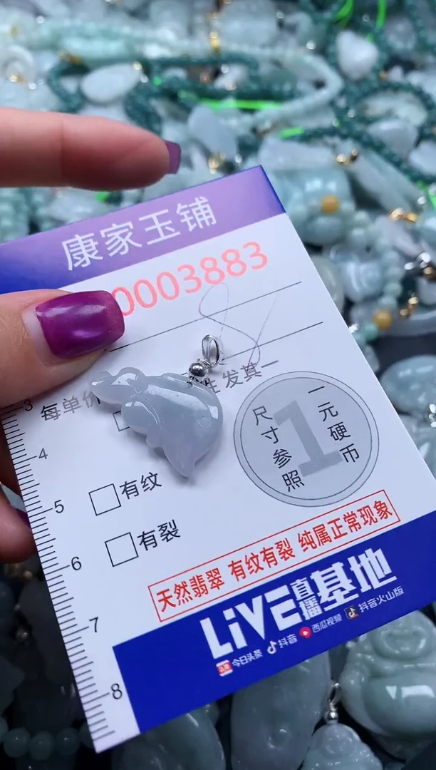颈饰未镶嵌翡翠3883