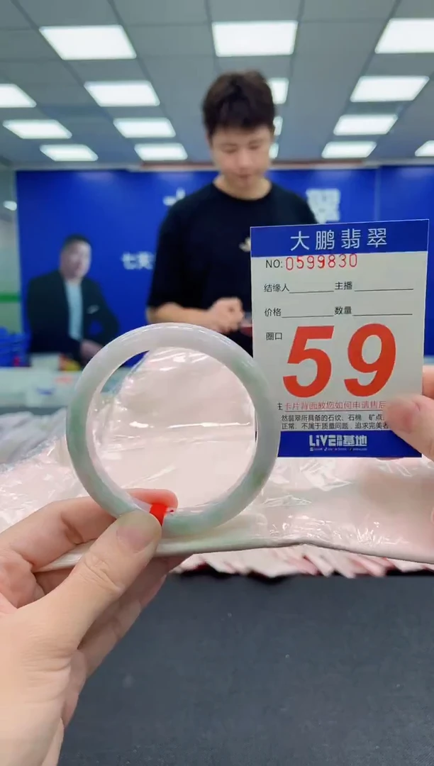 未镶嵌手镯翡翠AAAAAAAAA