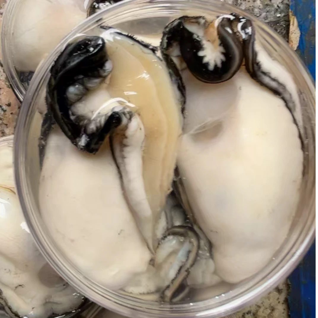 台山生蚝 牛嫂生蚝 新鲜生蚝 1000克