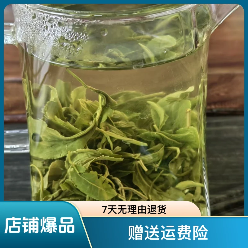 《8》 日照绿茶秋茶浓香型板栗香口感浓郁沙口新茶