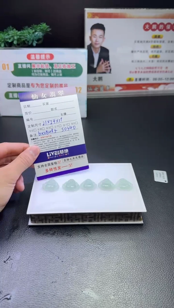 翡翠未镶嵌颈饰多样性发货一件（配绳）