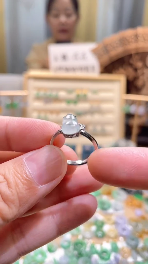 颈饰未镶嵌翡翠貔貅