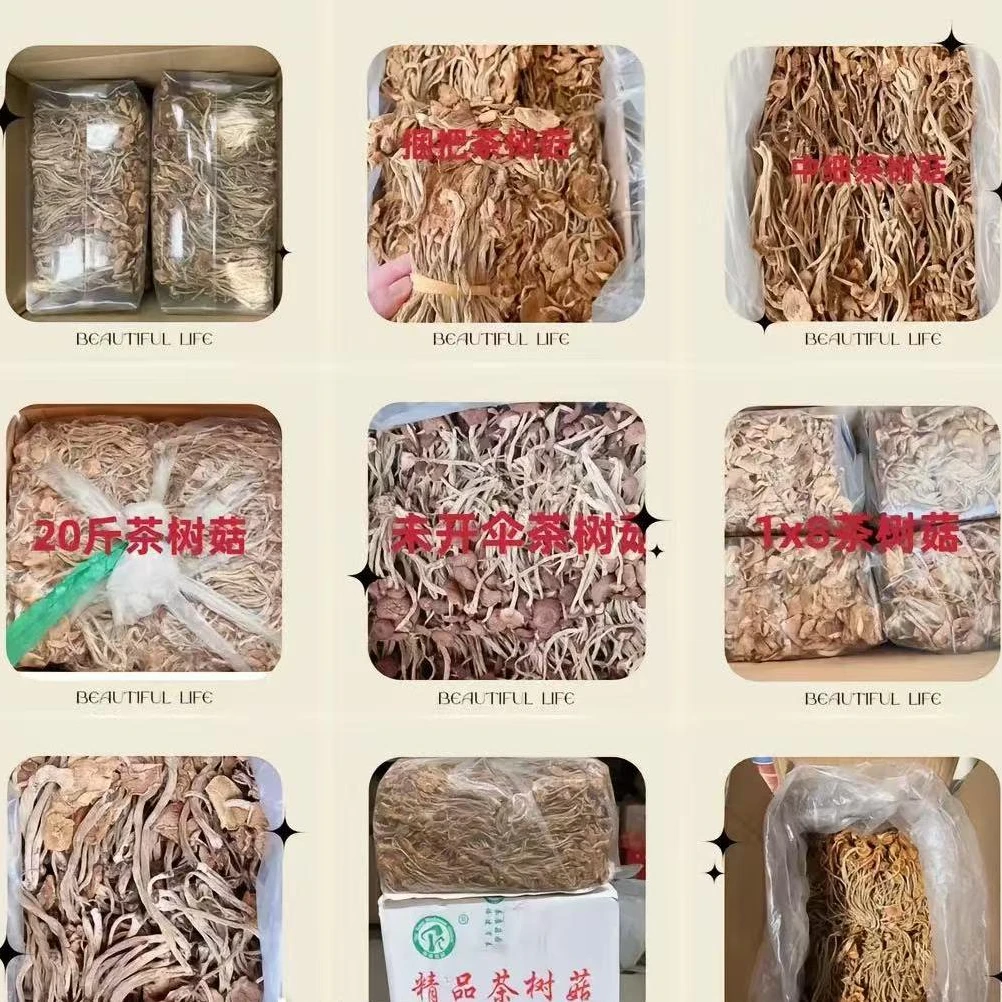 特产滋补 桑葚 【代替链接】买一发五