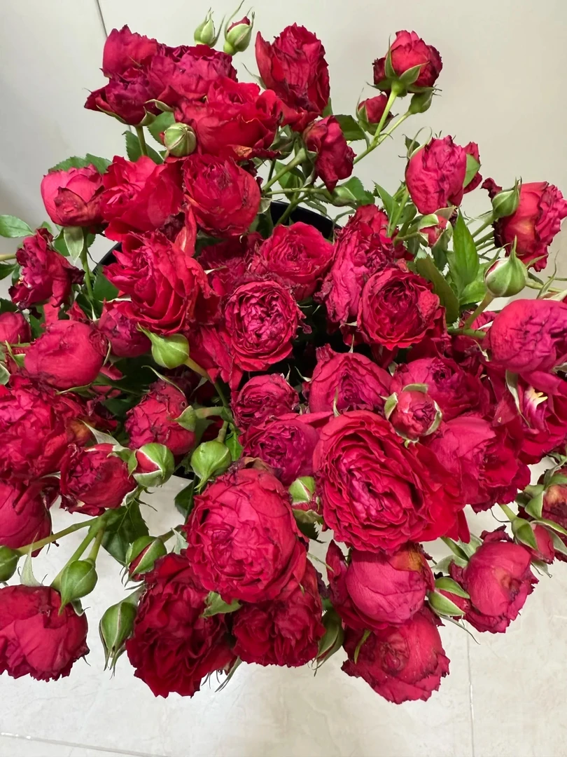 两单包邮！多头【石榴裙】玫瑰花