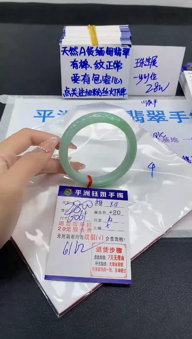 未镶嵌手镯翡翠1