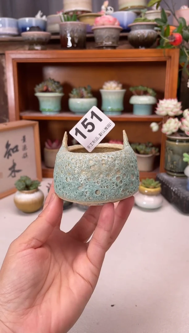 瓷片151知木小芳花盆