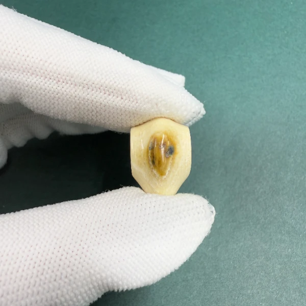 H5446天然猛犸牙 蓝眼 鲨鱼背三通 支持鉴定 假一罚四