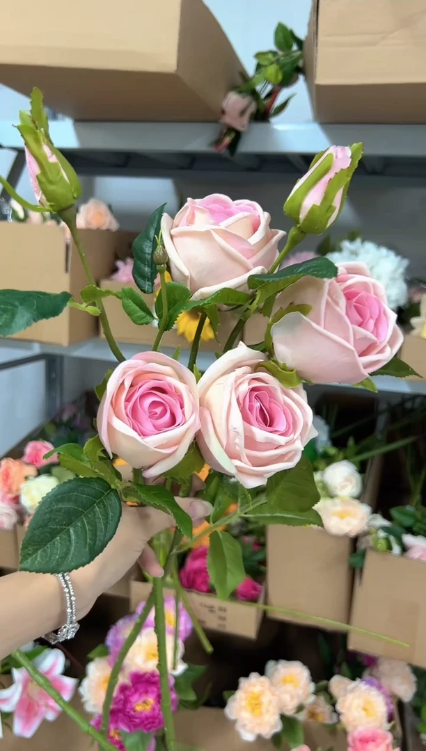 2枝粉色手感保湿芬兰
