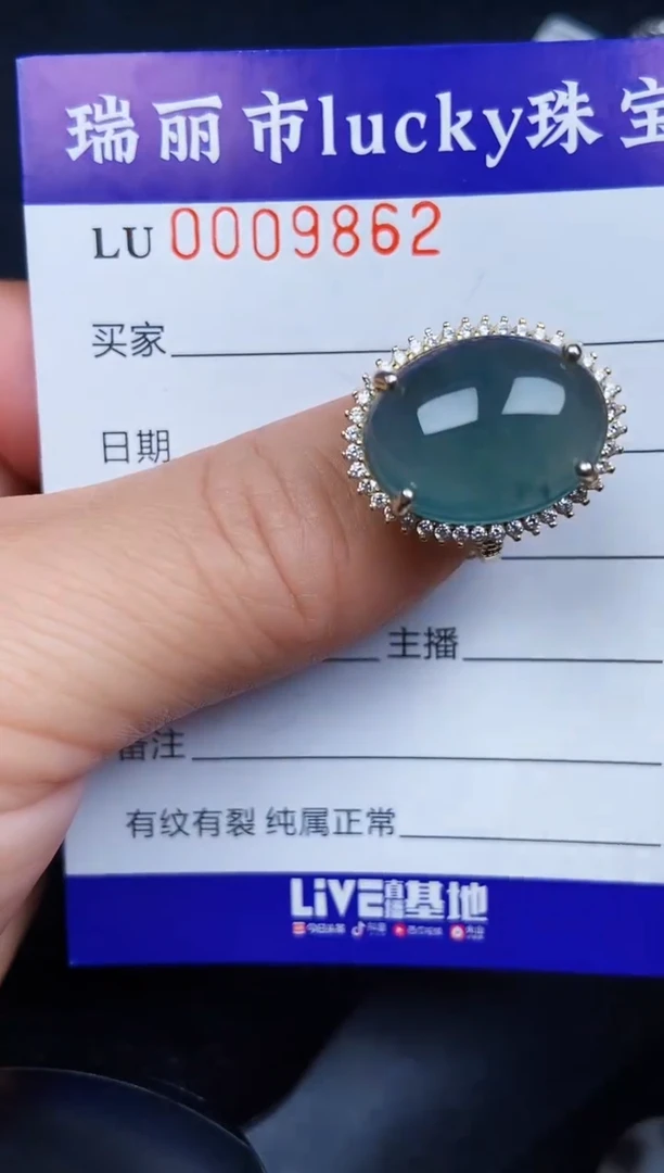 翡翠银S925镶嵌颈饰9862