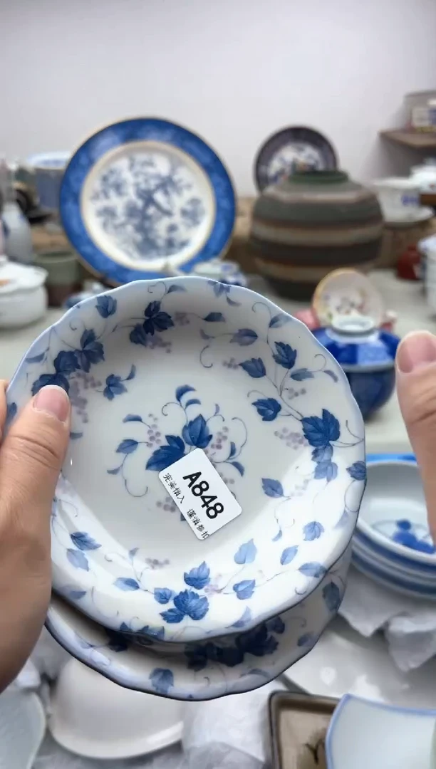 【闪购商品】碟848A............