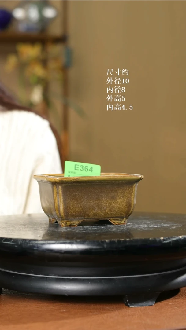 掌中宝      364