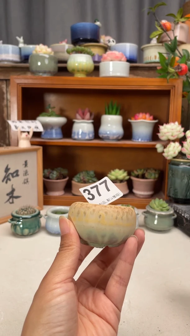 瓷片377知木小芳花盆