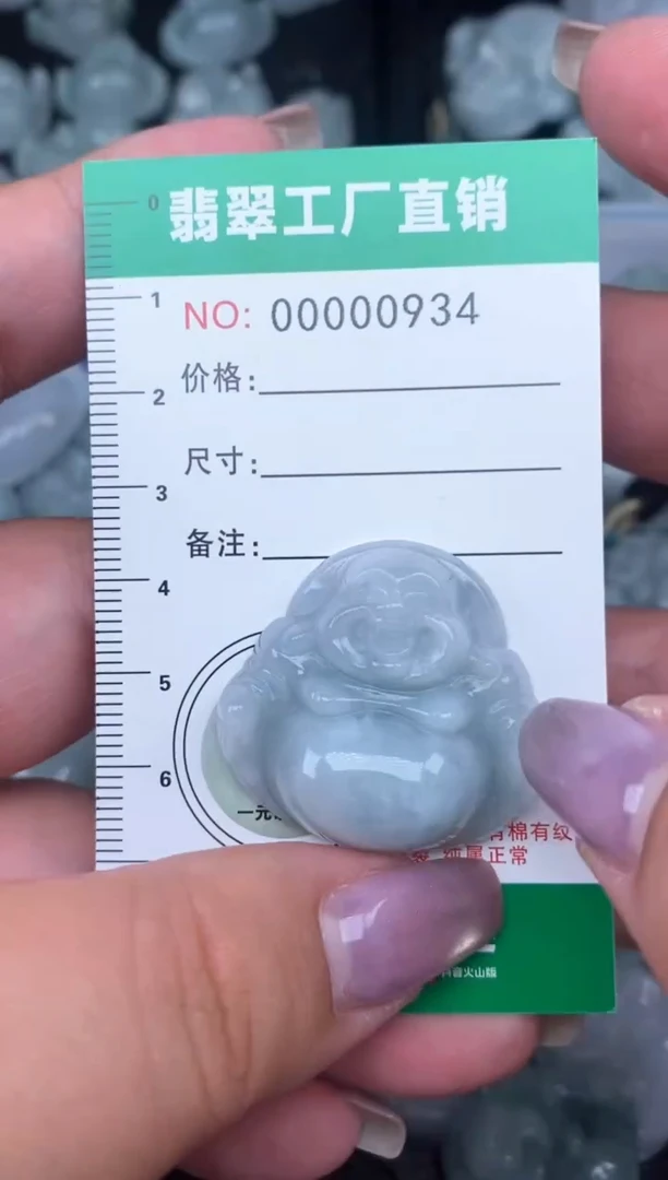 翡翠未镶嵌颈饰缅甸天然A货翡翠0934