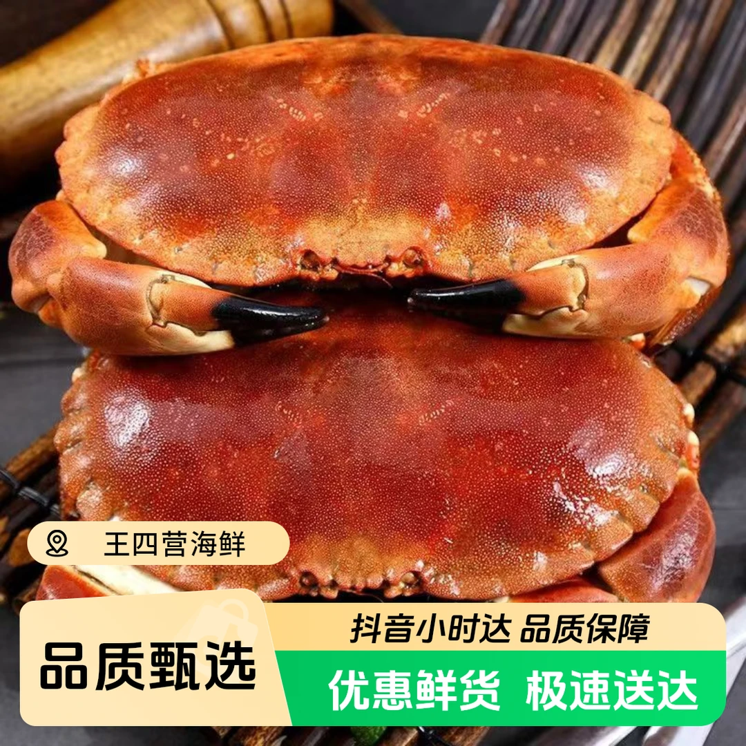 鲜活面包蟹一只，规格可选