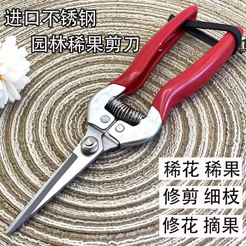 日本进口不锈钢摘果剪修枝剪园艺稀果剪刀柑橘采摘花椒神器家用剪