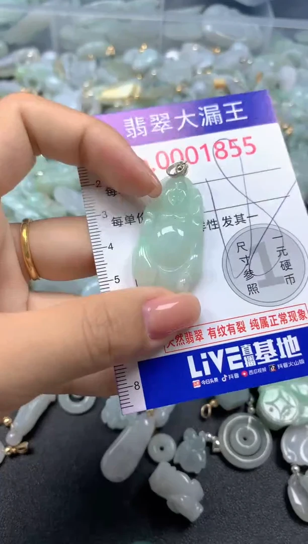 颈饰未镶嵌翡翠1855