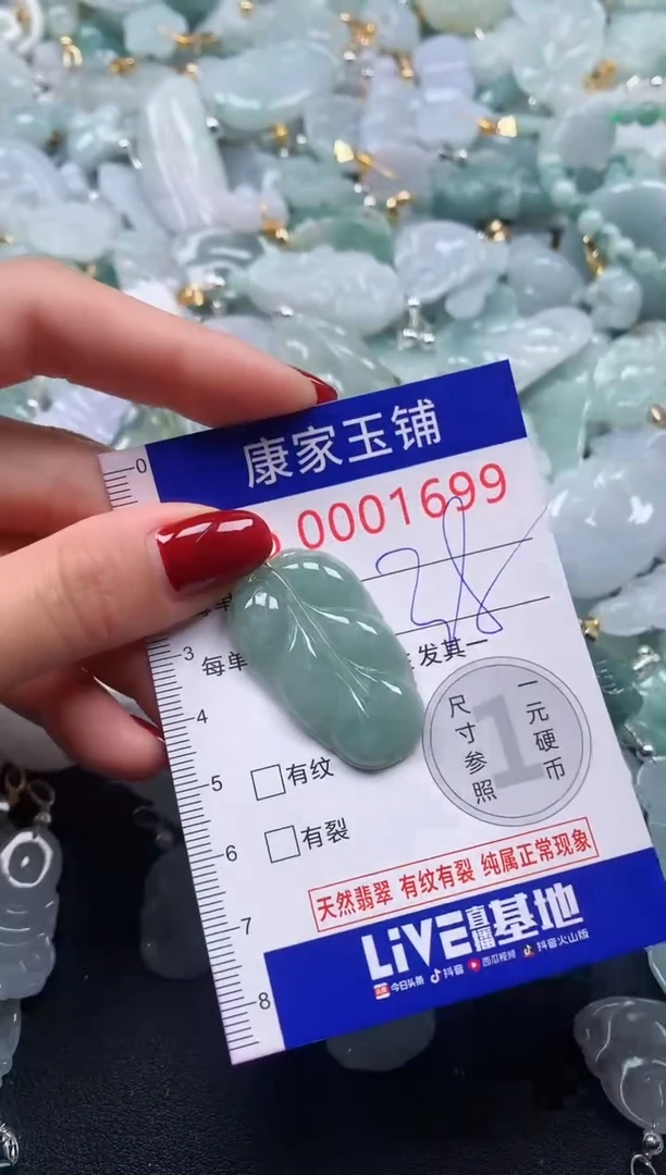 颈饰未镶嵌翡翠1699