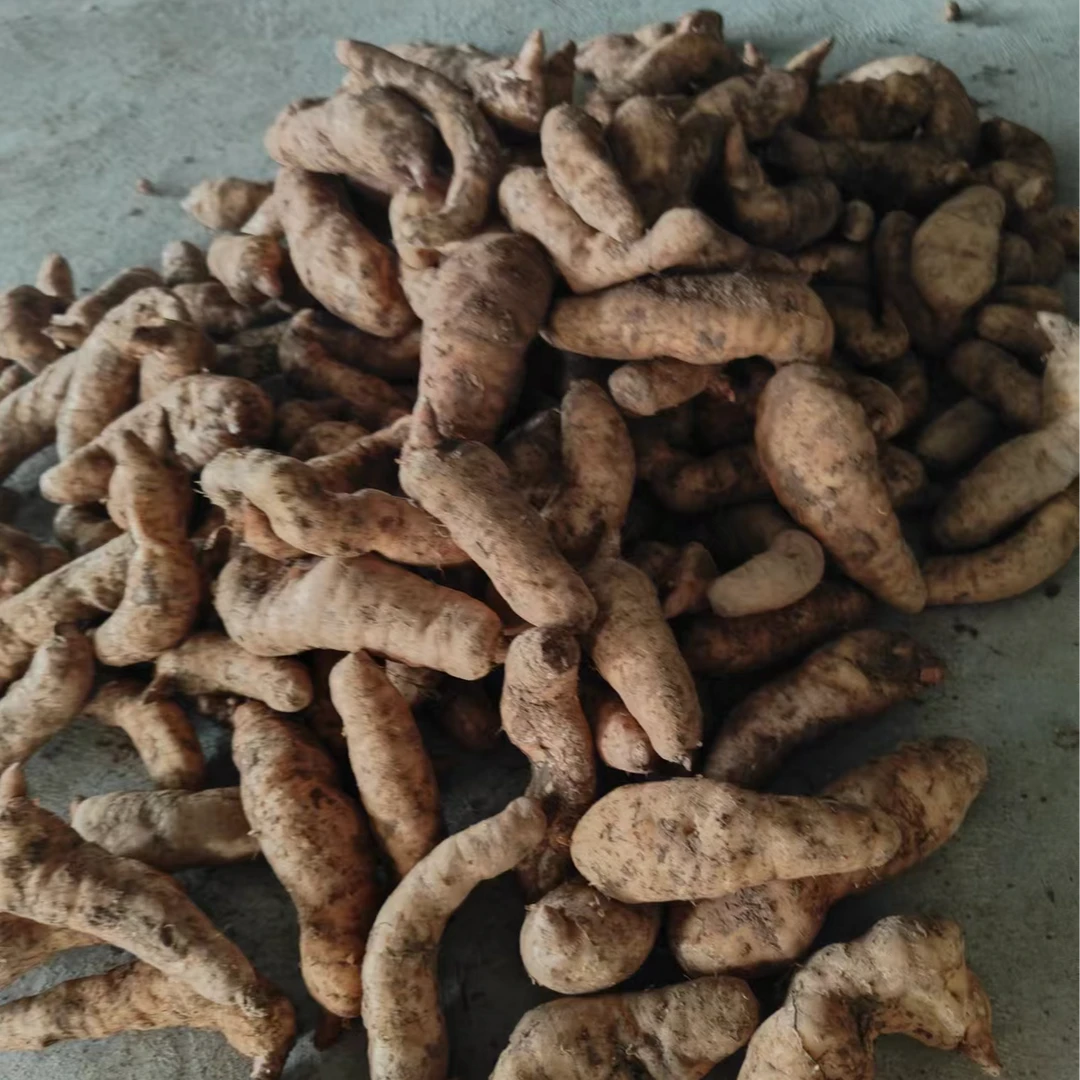 四川大山新鲜包邮