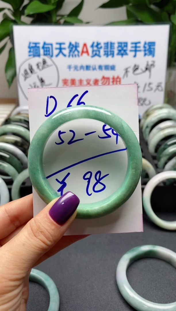 未镶嵌手镯翡翠小**姐66