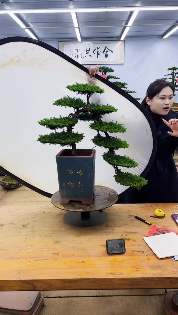 【闪购商品】高端盆景一物一拍，所见即所得