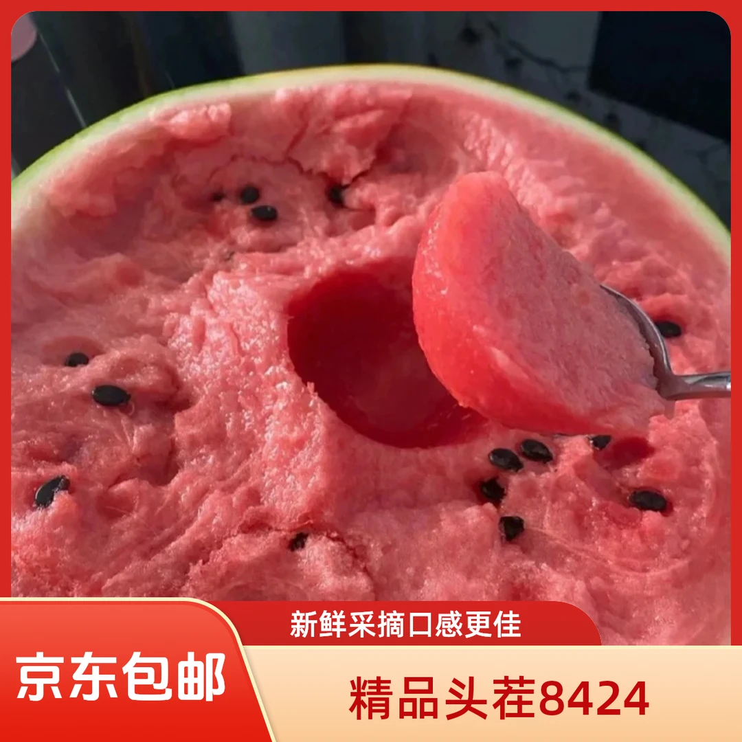 【单果】精品头茬8424西瓜新鲜采摘超级福利款上海市